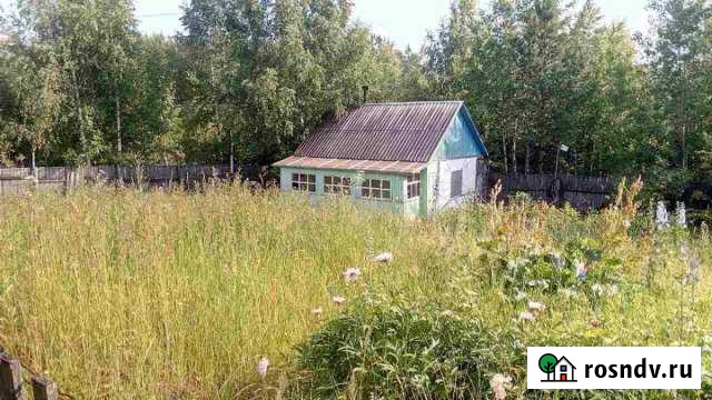 Участок СНТ, ДНП 5 сот. на продажу в Соликамске Соликамск - изображение 1