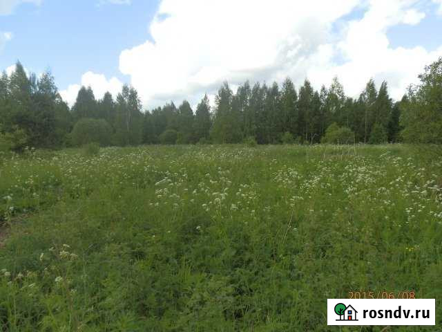 Участок СНТ, ДНП 550 сот. на продажу в Волхове Волхов - изображение 1