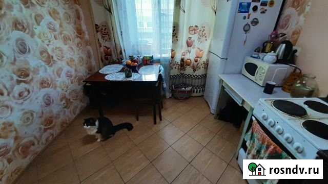 2-комнатная квартира, 51.5 м², 5/5 эт. на продажу в Петрозаводске Петрозаводск - изображение 1