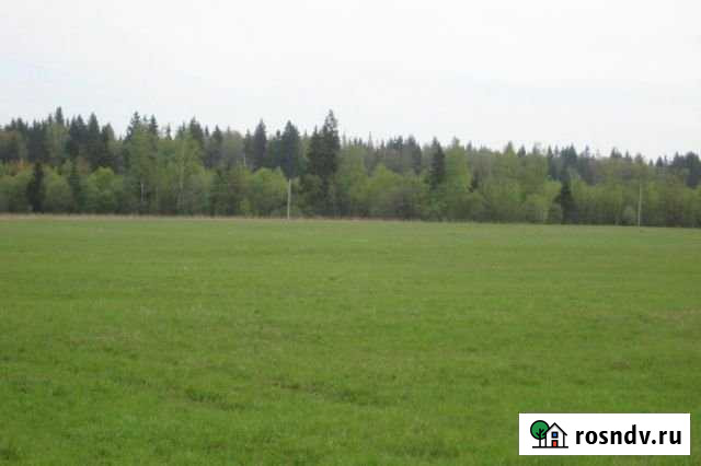 Участок СНТ, ДНП 12 сот. на продажу в Волоколамске Волоколамск - изображение 1