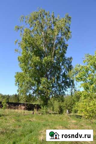 Участок ИЖС 15 сот. на продажу в Приозерске Приозерск - изображение 1