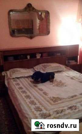 Дом 80 м² на участке 10 сот. на продажу в Веневе Венев - изображение 1