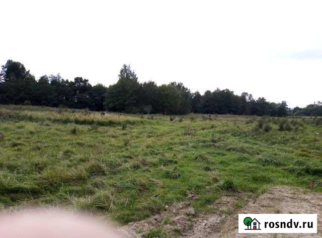 Участок СНТ, ДНП 24 сот. на продажу в Калининграде Калининград - изображение 1