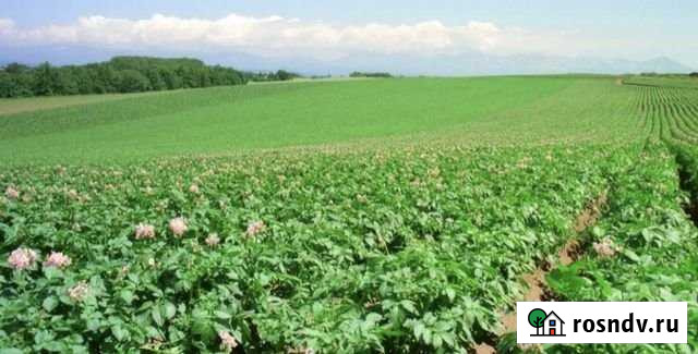 Участок СНТ, ДНП 1800 сот. на продажу в Спасском Нижегородской области Спасское - изображение 1