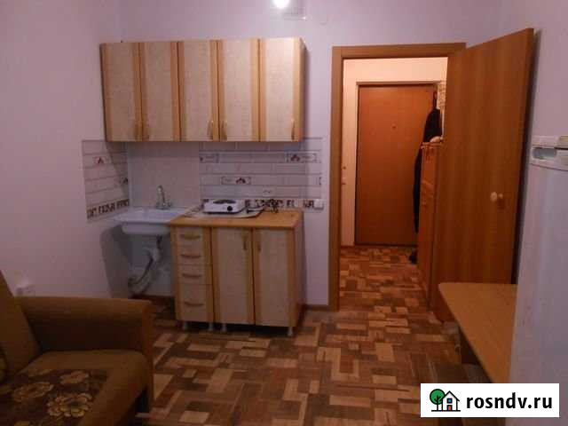 Квартира-студия, 20 м², 3/16 эт. в аренду на длительный срок в Красноярске Красноярск - изображение 1
