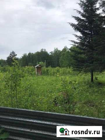 Участок СНТ, ДНП 11 сот. на продажу в Емельяново Емельяново - изображение 1