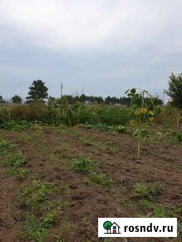 Участок СНТ, ДНП 10 сот. на продажу в Благовещенске Амурской области Благовещенск - изображение 1