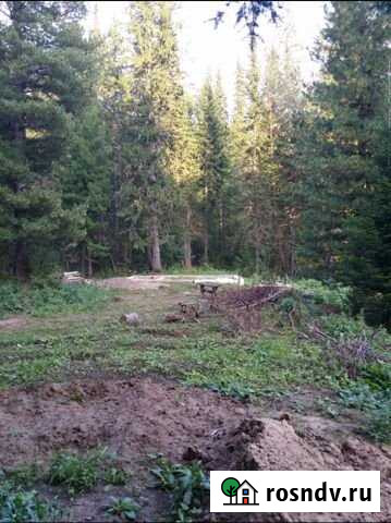 Участок СНТ, ДНП 15 сот. на продажу в Томске Томск - изображение 1