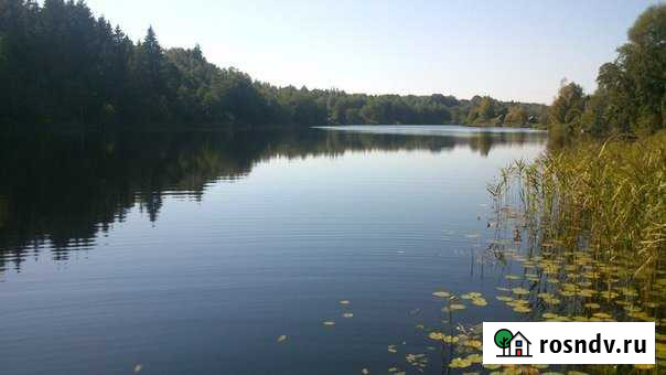 Участок СНТ, ДНП 16 сот. на продажу на Лугах Луга - изображение 1