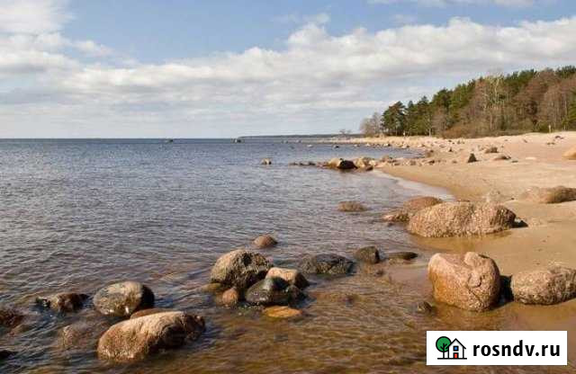 Участок ИЖС 22 сот. на продажу в Песочном Песочное - изображение 1