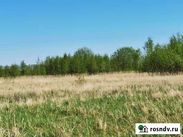 Участок СНТ, ДНП 100 сот. на продажу в Тарусе Таруса - изображение 1