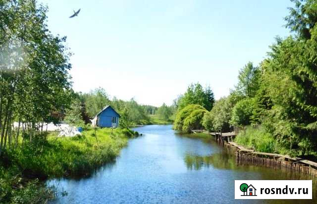 Участок ИЖС 15 сот. на продажу в Будогощи Будогощь - изображение 1