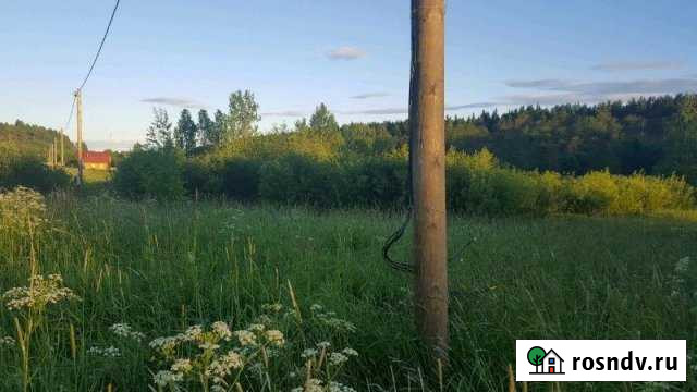 Участок ИЖС 25 сот. на продажу в Выборге Выборг - изображение 1