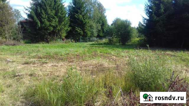 Участок СНТ, ДНП 23 сот. на продажу в Толмачево Ленинградской области Толмачево - изображение 1