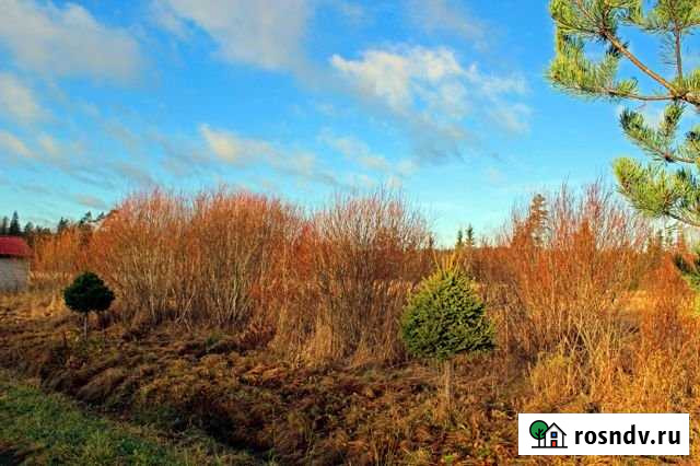 Участок ИЖС 15 сот. на продажу в Лахденпохье Лахденпохья - изображение 1