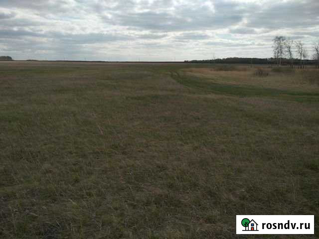 Участок СНТ, ДНП 910 сот. на продажу в Еткуле Еткуль - изображение 1