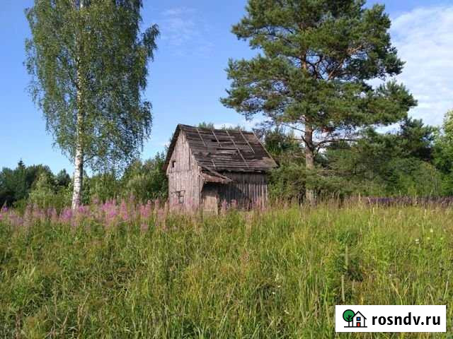 Участок СНТ, ДНП 10 сот. на продажу на Лугах Луга - изображение 1