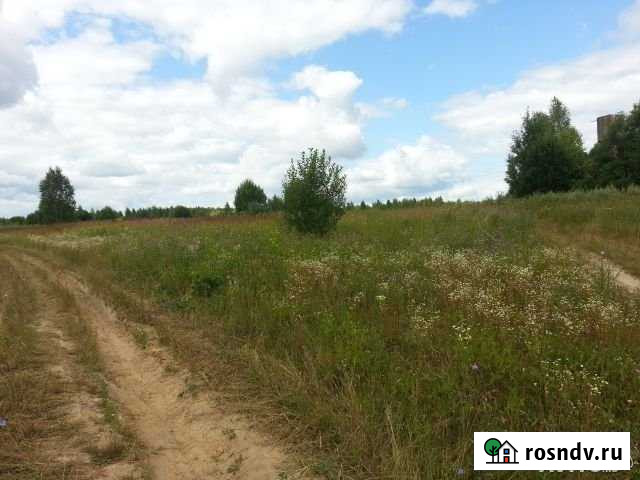 Участок СНТ, ДНП 480 сот. на продажу в Никологорах Никологоры - изображение 1