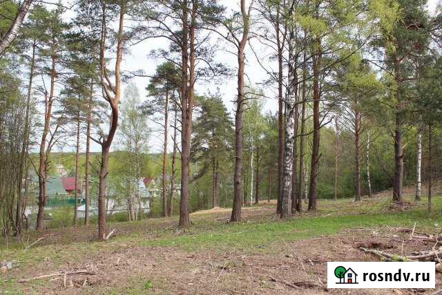 Участок СНТ, ДНП 19 сот. на продажу в Сертолово Сертолово - изображение 1