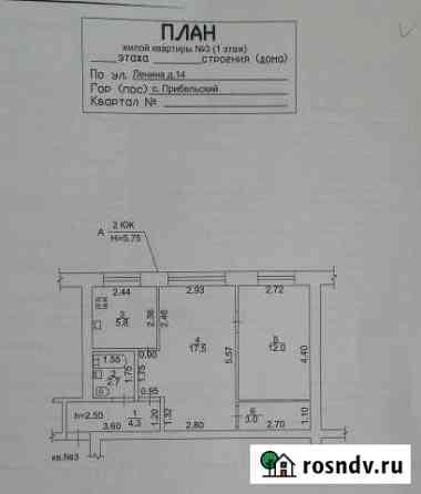 2-комнатная квартира, 45.3 м², 1/2 эт. на продажу в Прибельском Прибельский