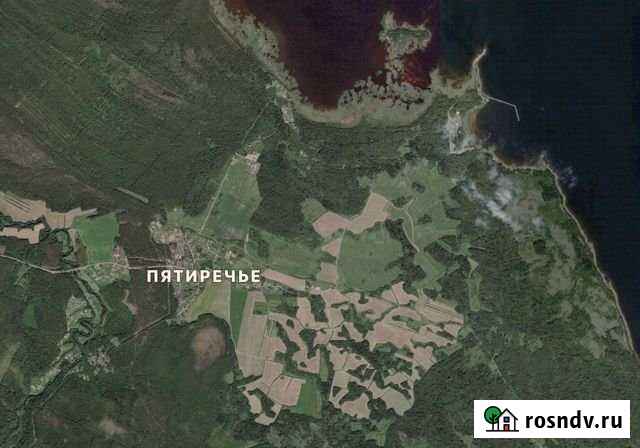 Участок СНТ, ДНП 100 сот. на продажу в Сосново Сосново - изображение 1