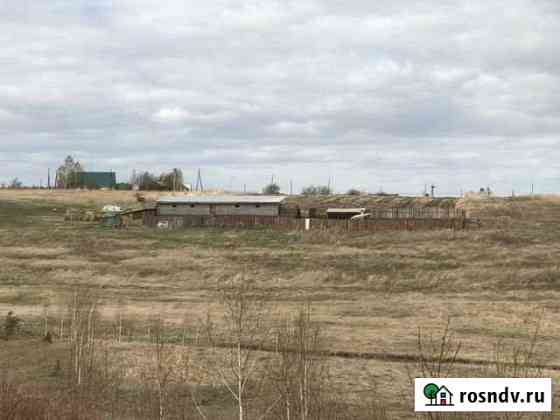 База для разведения скота Красноярск