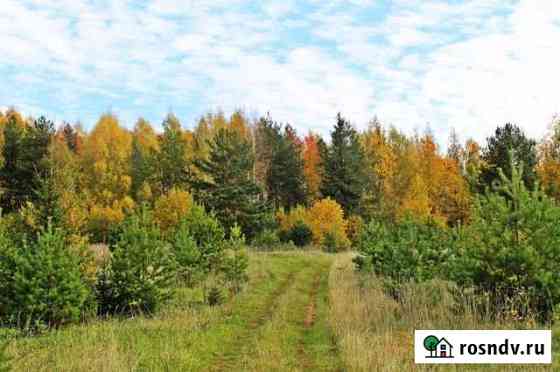 Участок ИЖС 10 сот. на продажу в Кочкурово Кочкурово