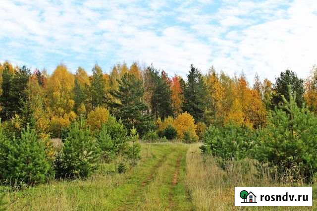 Участок ИЖС 10 сот. на продажу в Кочкурово Кочкурово - изображение 1