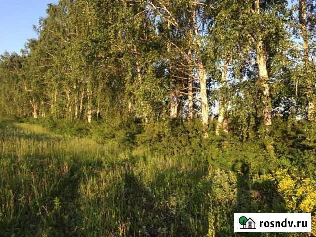 Участок ИЖС 14 сот. на продажу в Тамбове Тамбов - изображение 1