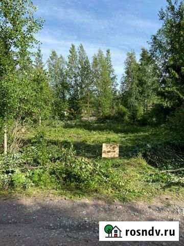 Участок СНТ, ДНП 6 сот. на продажу в Рощино Ленинградской области Рощино - изображение 1