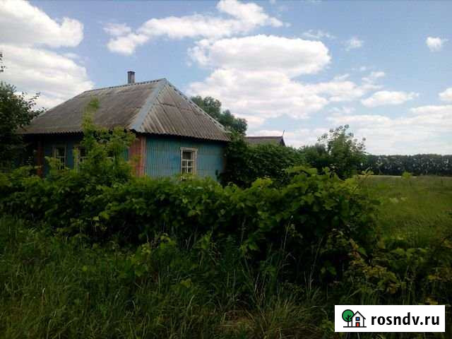 Дом 38 м² на участке 32 сот. на продажу в Панино Панино - изображение 1