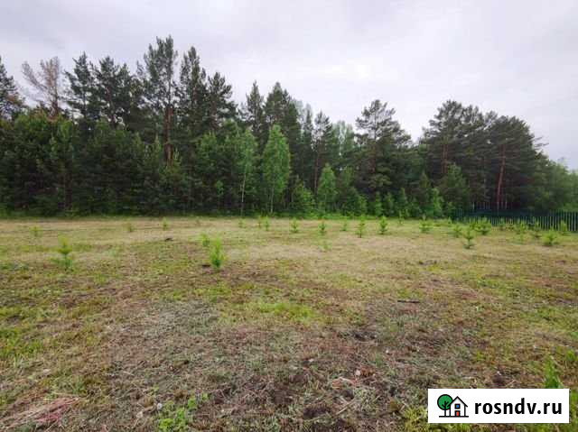 Участок СНТ, ДНП 30 сот. на продажу в Емельяново Емельяново - изображение 1