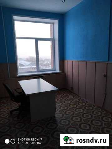 Офисное помещение, 12 кв.м. Барнаул - изображение 1