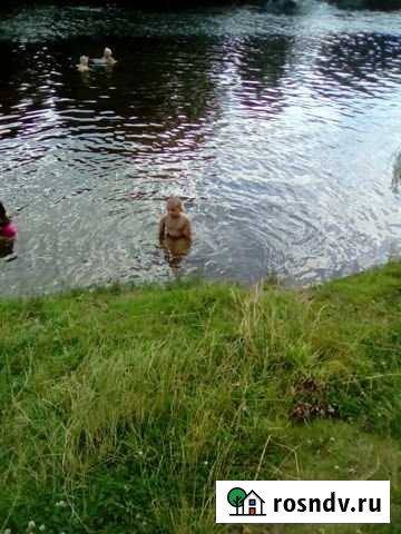 Участок ИЖС 30 сот. на продажу в Пустошке Пустошка - изображение 1