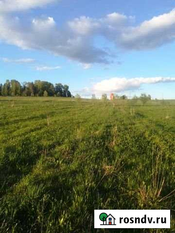 Участок ИЖС 13 сот. на продажу в Мурыгино Мурыгино - изображение 1