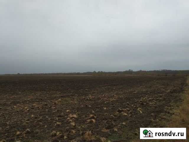 Участок СНТ, ДНП 300 сот. на продажу в Чернышковском Чернышковский - изображение 1