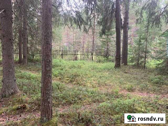 Участок ИЖС 129 сот. на продажу в Устье Вологодской области Устье - изображение 1