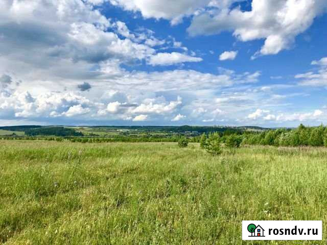 Участок СНТ, ДНП 100 сот. на продажу в Новом Республики Удмуртия Новый - изображение 1