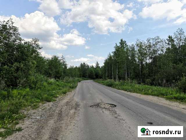 Участок промназначения 241 сот. на продажу во Всеволожске Всеволожск - изображение 1