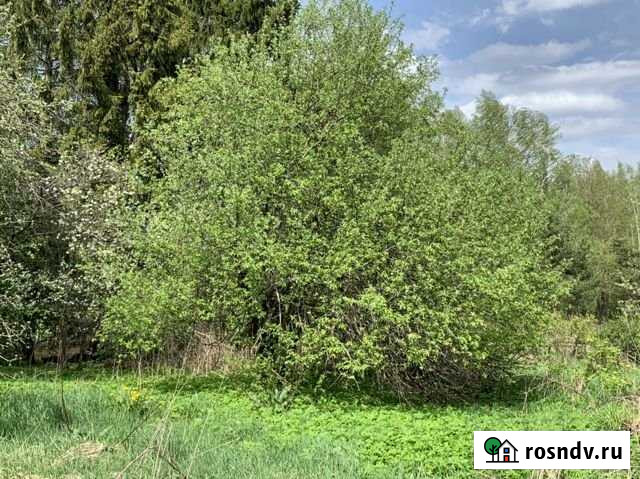 Участок СНТ, ДНП 50 сот. на продажу в Сафоново Смоленской области Сафоново - изображение 1