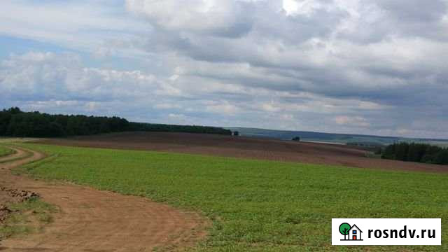 Участок СНТ, ДНП 10000 сот. в аренду в Казани Казань - изображение 1