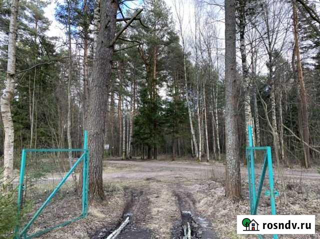 Участок СНТ, ДНП 12 сот. на продажу в Туношне Туношна - изображение 1