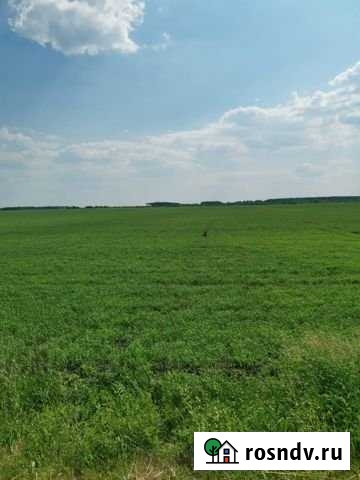 Участок СНТ, ДНП 850 сот. на продажу в Юшале Юшала - изображение 1