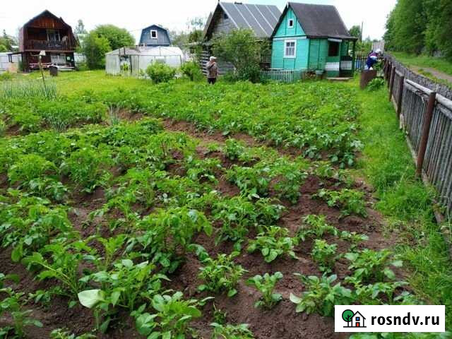 Дача 20 м² на участке 6 сот. на продажу в Кирове Киров - изображение 1