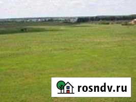 Участок СНТ, ДНП 150 сот. на продажу в Разумном Разумное - изображение 1