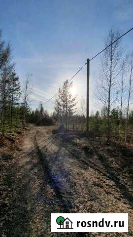 Участок СНТ, ДНП 14 сот. на продажу в Югорске Югорск - изображение 1