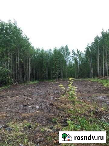 Участок СНТ, ДНП 10 сот. на продажу в Нижнем Тагиле Нижний Тагил - изображение 1