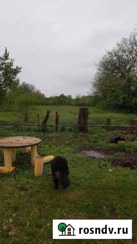 Участок ИЖС 16 сот. на продажу в Хумалаге Хумалаг - изображение 1