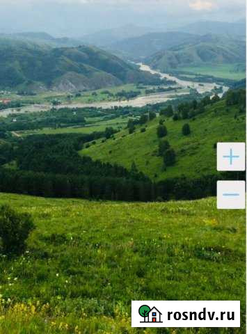 Участок СНТ, ДНП 3150 сот. на продажу в Чарышском Чарышское - изображение 1