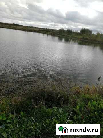 Участок СНТ, ДНП 350 сот. на продажу в Приладожском Приладожский - изображение 1